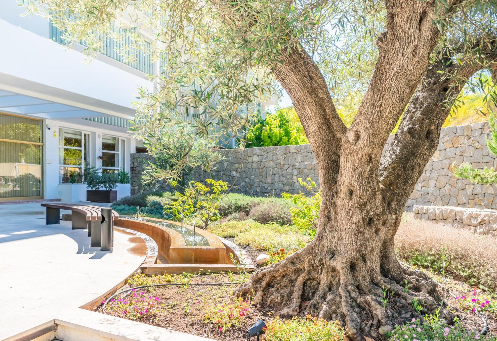 Park & - 4* Sup - Adults Only Hotel